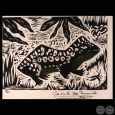 SAPO - Grabado de JACINTO RIVERO